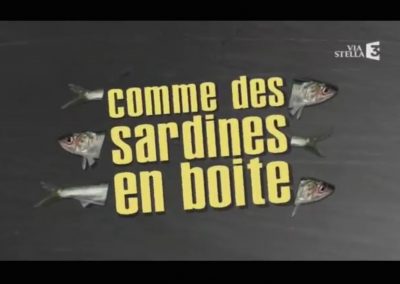 COMME DES SARDINES EN BOITES